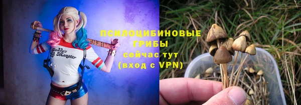 стаф Волосово