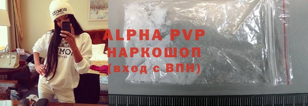 стаф Волосово