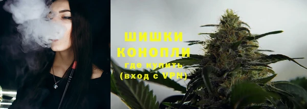 стаф Волосово